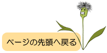 y[W̐擪֖߂